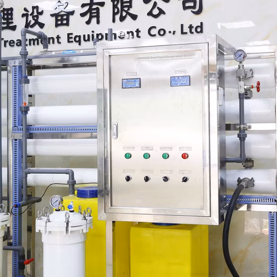 Seawater Desalination Plant Good Price Beverage Making Pretreatment Products / Water Purification Equipment Cost