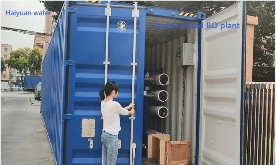 Mobile Containerized Borehole Sea Salt Water Marine RO System RO Filtration System Water Treatment System for Drinking Irrigation